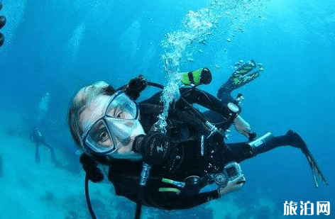 自由潜和水肺潜的区别 自由潜和水肺潜哪个好